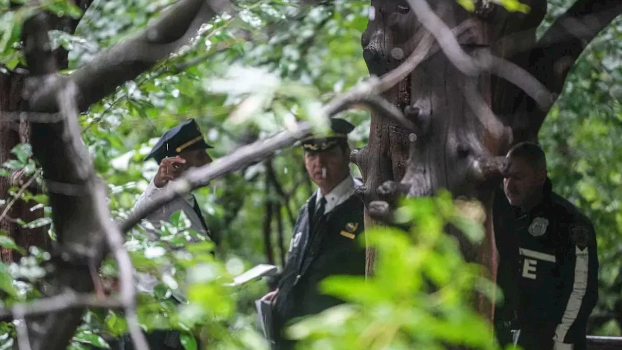 Central Park Knifepoint Rape: NYPD Searches for Suspect Amid Rising Crime