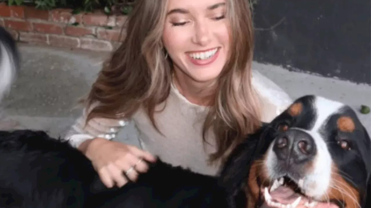 "Dunkin's Law": A Federal Push to Fix America's Pet Care Gaps