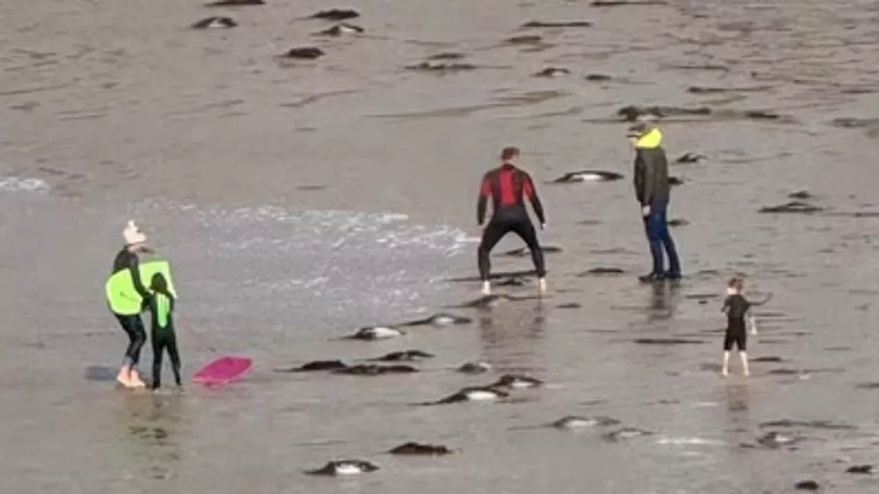 Violence at Polzeath: The High Cost of Ignoring Storm Austen’s Warnings