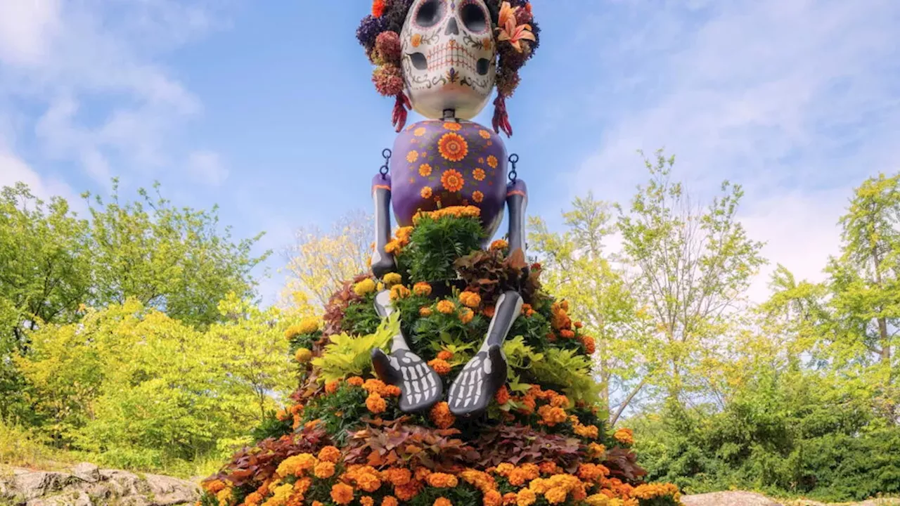 Beyond the Petals: The Spiritual and Botanical Power of the Bronx's Día de los Muertos