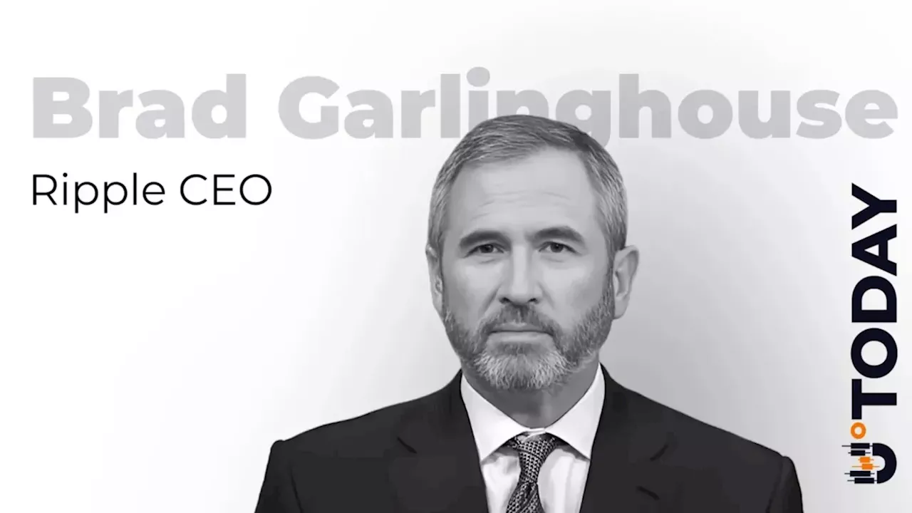Ripple CEO Celebrates 10 Years of Swell as Treasury Secretary Joins Talks
