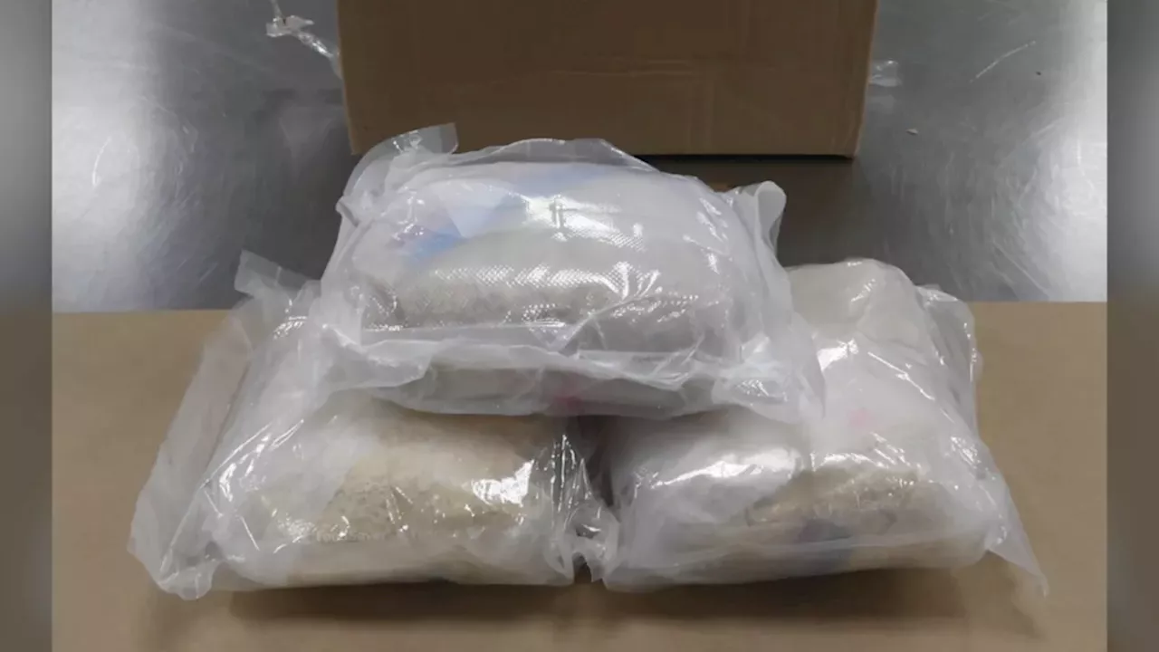 Calgary's $350k Drug Bust: The Data Behind Operation Guardian
