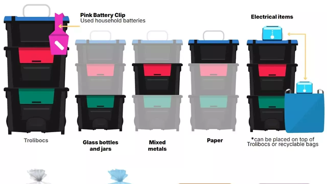 The 12-Bin Burden: Denbighshire’s Risky Soft-Plastic Pilot