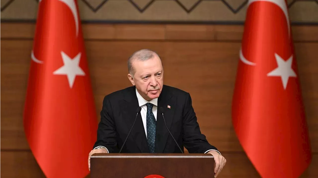 Erdogan's 'Türkiye Century': Defense, Nuclear Energy, and the Pivot to Egypt