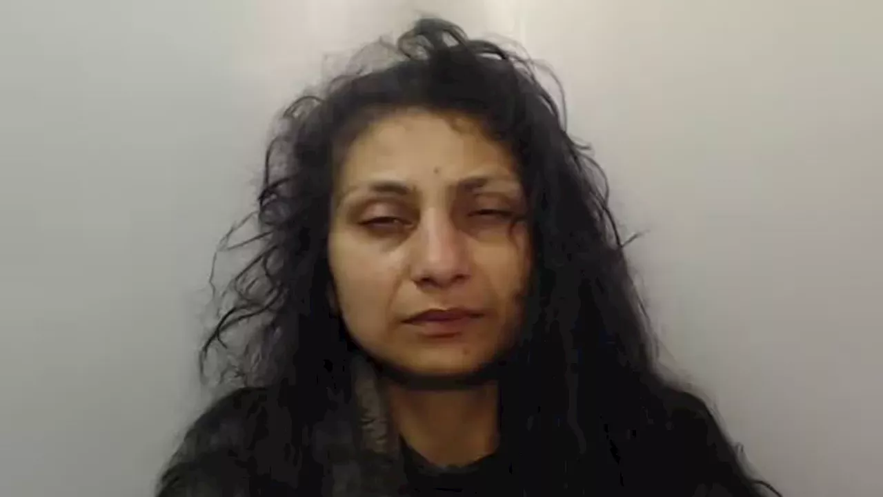 The Article 8 Dilemma: Why a Serial Offender Will Remain in the UK