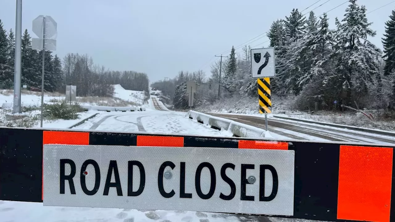 Edmonton Icy Road Chaos: 119 Crashes and a Fatal Highway 28 Collision