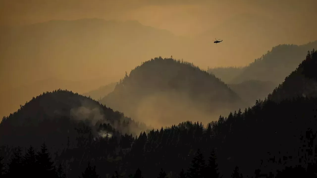 Wildfire smoke during pregnancy linked to higher autism risk in large Medicaid study
