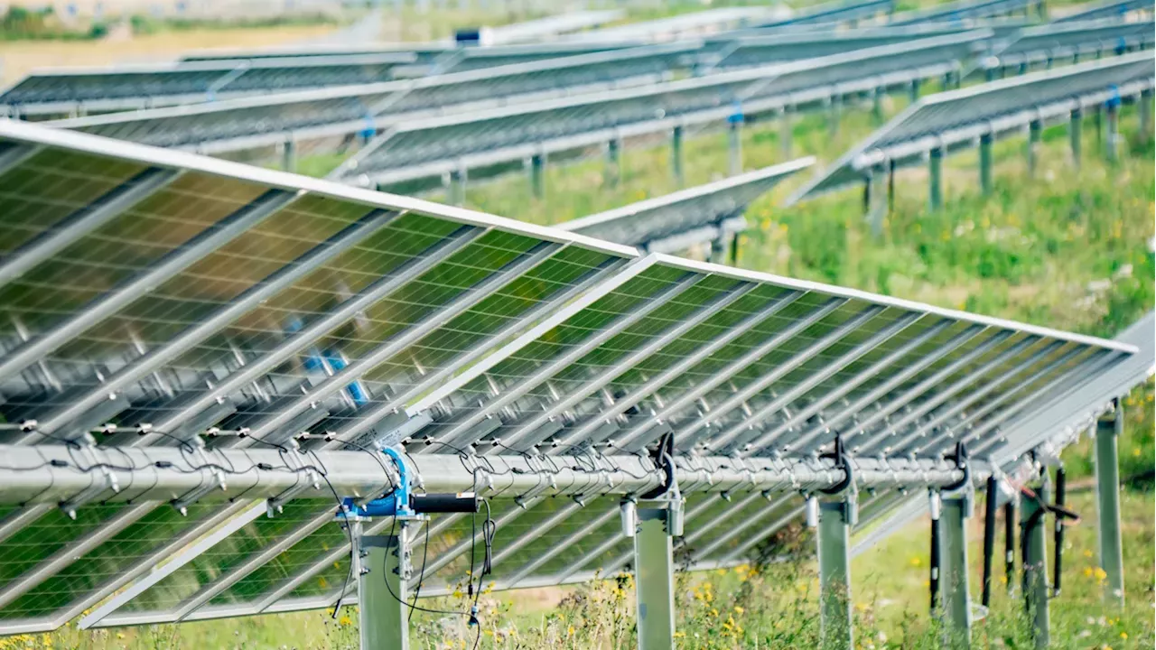 Gravity Over Gear: 13-Year-Old's $25 Solar Tracker Challenges Expensive Tech