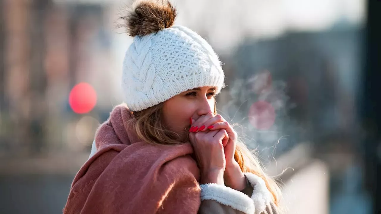 Arctic Vortex Collapse Could Trigger Record-Breaking Early Winter Cold