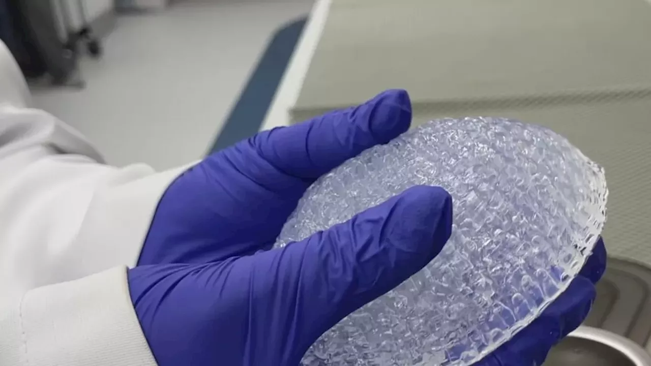 Beyond Silicone: UBC’s 3D-Printed Scaffolds Aim to Regrow Human Tissue